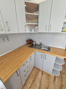 Nidos centre 3 kambarių butas