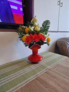 Apartment Dorcol Belgrade