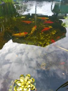 Ferienwohnung Rockenbach