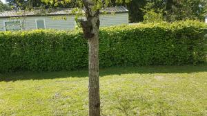 Mobil-home 3ch, 2 sdbwc, tout confort camping les allais Trogues