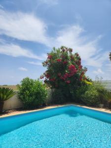 Budget Escape to the seaside