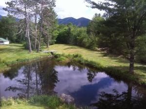 Deluxe Double Room with Two Double Beds room in Stonybrook Motel & Lodge