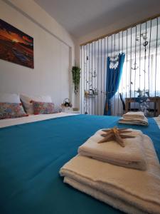 Studio "Visul Carolinei"