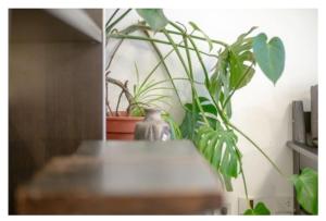 Monoambiente céntrico