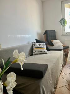 Apartament WITOMINO