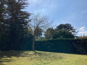 Appartements Appartement cosy proche rue pietonne et plages : photos des chambres