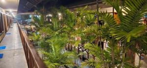 FRENTE MAR - Cumbuco - Eco Paradise