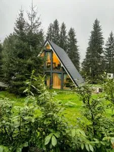 Pine Hill Poiana Marului - Zăvoiu