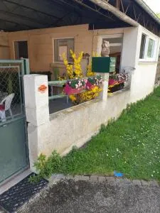 FLORIDE - Les Chaises