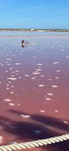 Appartements Aux 4 FONTAINES : Appartement 2 Chambres