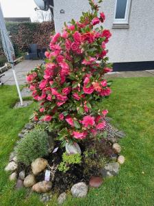 Hillside View, Inverness