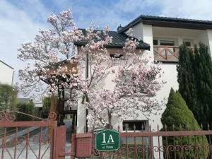 Magnolia - Żelechów