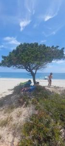 Casa Scirocco Sardegna img11