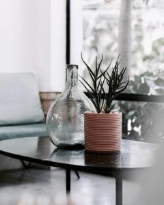 Residencia Tropical Don Bonito