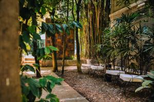 Miraselva Lodge