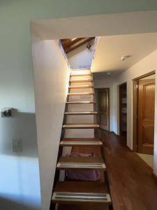 Arelauquen, Polo, San Carlos de Bariloche