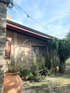 Lunas de Spilimbergo