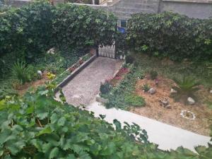 Apartments with WiFi Makarska - 23010