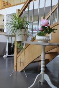 B&B / Chambres d'hotes L'Heure Bleue gites et chambres d'hotes : photos des chambres