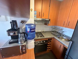 Private apartment in Santiago