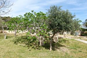 Villa - Vue sur Jardin