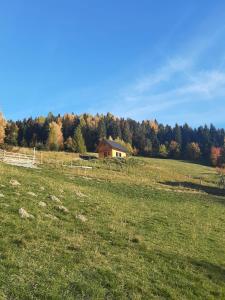 Gładyszówka - Chatka w Gorcach