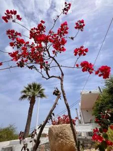 Like a local by GiomaMeze - Istron