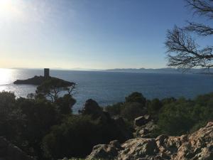 Cocon Familial
