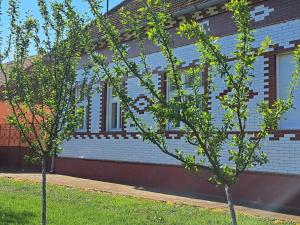 Eagles Court - Orlovski Vrt