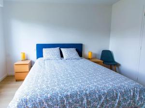 T1 bis Hopital/centre ville de Chambéry