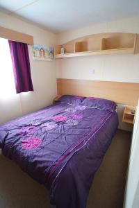 pets go free family 3 Bed Caravan with Decking