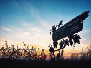 Apartma Domačija Bole - Ponikve