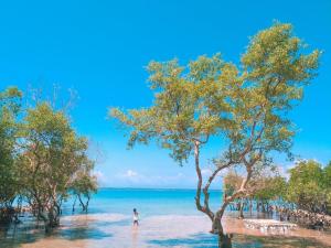 Tanyon Bay Beach House