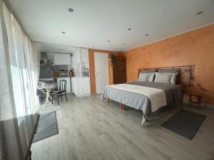Appartements Studio confortable avec terrasse : photos des chambres