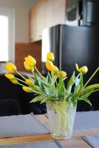 Dom wypoczynkowy Leśny Zakątek nad jeziorem - Gościno