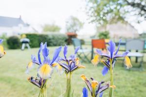 Maisons de vacances Le Beaumont • La Belle Campagne • La Plenitude : photos des chambres