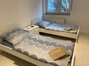 Möbilierte 2-Zimmerwohnung mit geräumiger Wohnküche - Friesenheim
