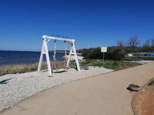 Charming Tulip on the sea 