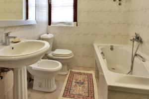 Charming Tulip on the sea 