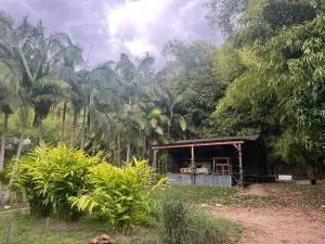 Whispering Palms, Luxury Tiny Home - Upper Burringbar