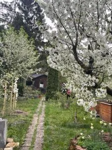 Fußball-Hochburg! Gartenparadies für Campen/Zelten - Fellbach