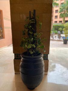 Résidence Caprice Palace Hivernage