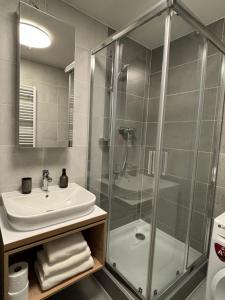 Apartmán Centrum Komfort FREE PRIVATE PARKING