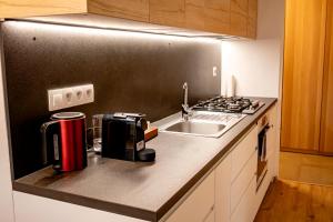 Apartmán Centrum Komfort FREE PRIVATE PARKING