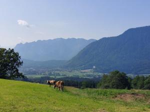 Fuchsbauernhof