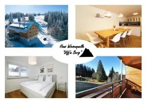 Haus Wiesenquelle - Fewo 10 "Uff&#039m Berg", Feldberg - Todtnauberg