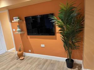 Central Spacious Quirky Apartment in Birmingham with Free Wi-Fi, Parking