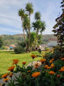 Hotel Migal