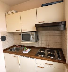 Apartment 04 - Ferienresidenz Roseneck, mit Schwimmbad in Todtnauberg bei Feldberg