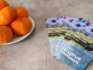 Blue Touch Pervolia Paradise near the beach